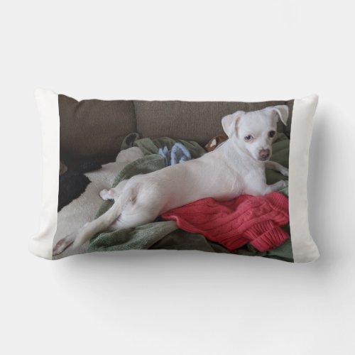 Small Dog Throw Pillow