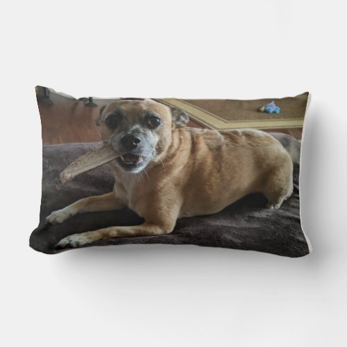 Small Dog Throw Pillow