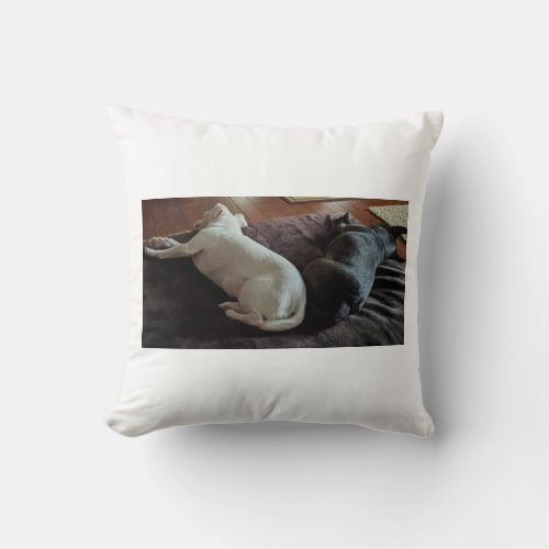 Small Dog Throw Pillow 16 x 16