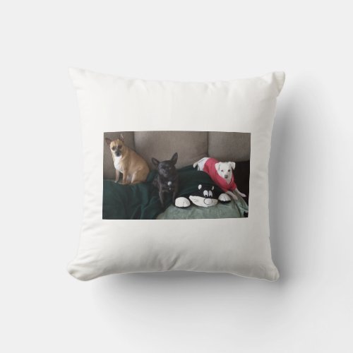 Small Dog Throw Pillow Throw Pillow 16 x 16