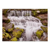 Small Falls In Yosemite (Front Horizontal)