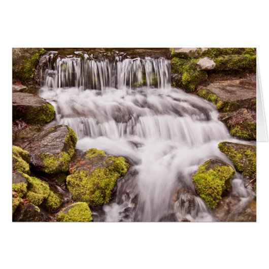 Small Falls In Yosemite Cards (Front Horizontal)