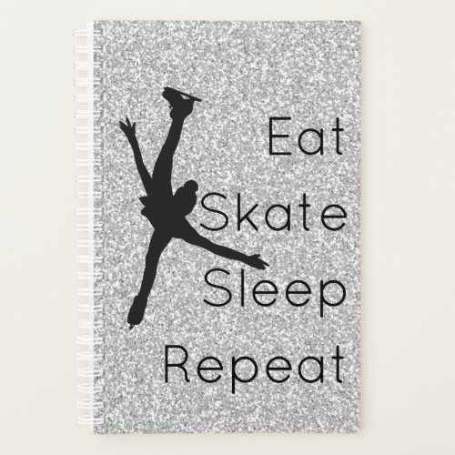 Small Figure skating planner _ silver  black