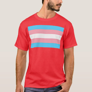 Small Flag Subtle Trans Pride Transgender Rights L T-Shirt