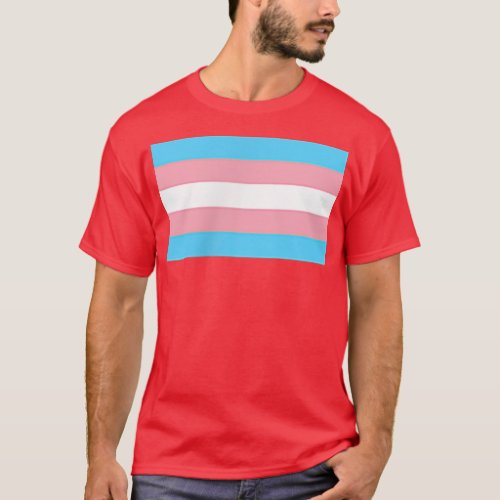 Small Flag Subtle Trans Pride Transgender Rights L T_Shirt