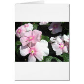 Small Flowers (Front)