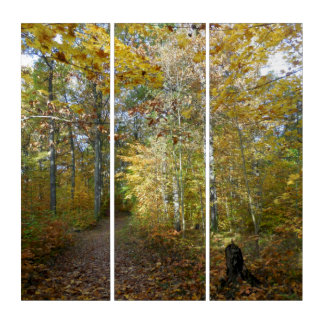 Small forest - birch along the path triptych
