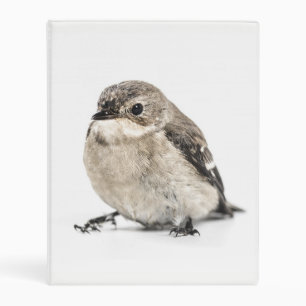 Small Garden Bird Photo Mini Binder