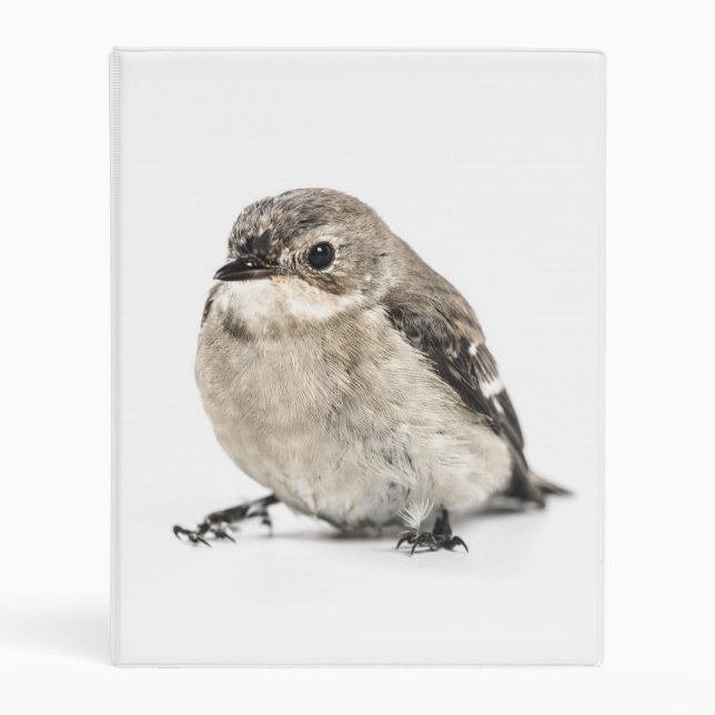 Small Garden Bird Photo Mini Binder (Front)