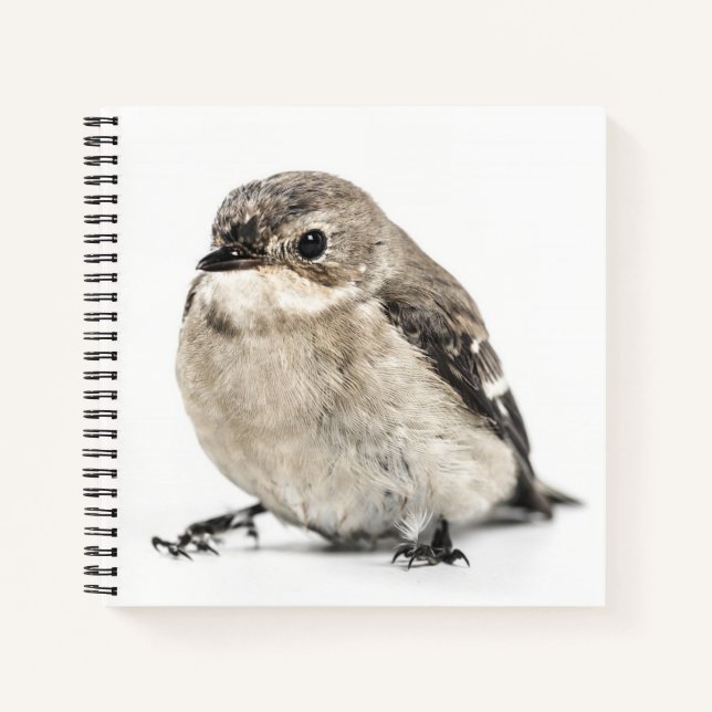 Small Garden Bird Photo Notebook (Front)