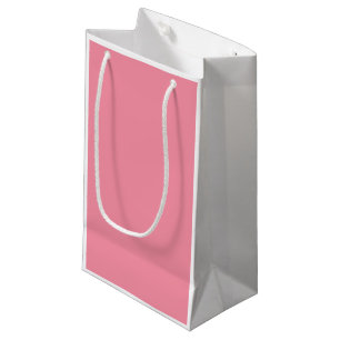 Small Gift Bag: Salmon Pink Front Apple Green Back Small Gift Bag