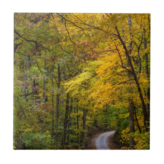 Small Gravel Road Lined With Autumn Color Ceramic Tile (Front)