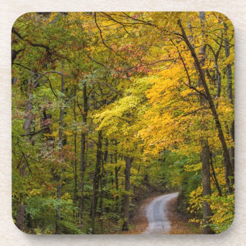 Small Gravel Road Lined With Autumn Color Coaster