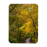 Small Gravel Road Lined With Autumn Color Magnet at Zazzle