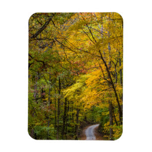 Small Gravel Road Lined With Autumn Color Magnet