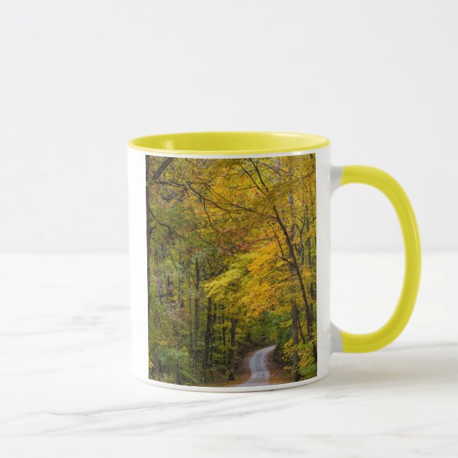 Small Gravel Road Lined With Autumn Color Mug (Right)