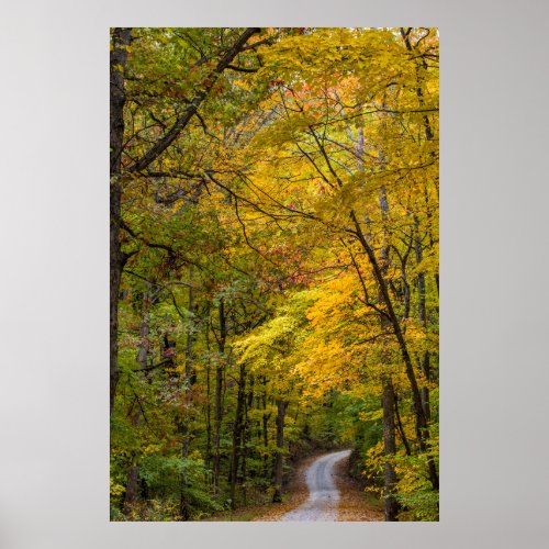 Small Gravel Road Lined With Autumn Color Poster