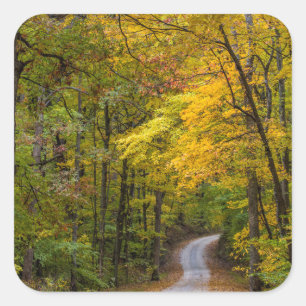 Small Gravel Road Lined With Autumn Color Square Sticker