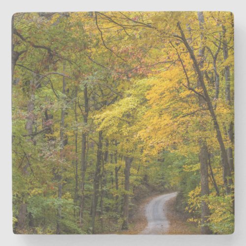 Small Gravel Road Lined With Autumn Color Stone Coaster