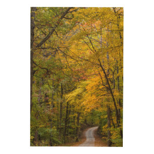 Small Gravel Road Lined With Autumn Color Wood Wall Decor