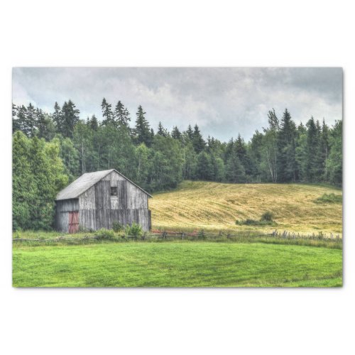 Small Gray Barn Cuddled Against a Forest Tissue Paper