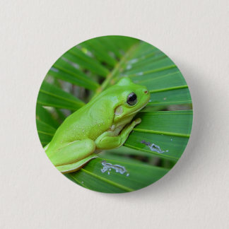 Small Green Frog Button