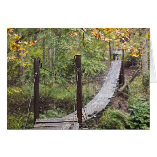 Small hanging bridge, National Coal Heritage (Front Horizontal)
