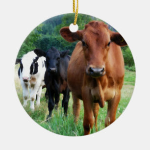 Small Herd of Three Cows Ceramic Ornament