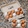 Small Homestead Farm Egg Carton Food Label v2 Self-inking Stamp