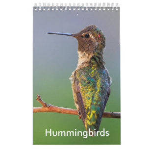 Small Hummingbird Calendar