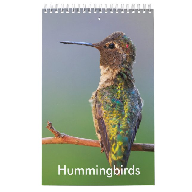 Small Hummingbird Calendar (Cover)
