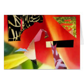 Small Kingdom (Front Horizontal)