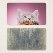 Small kitten (Front & Back)