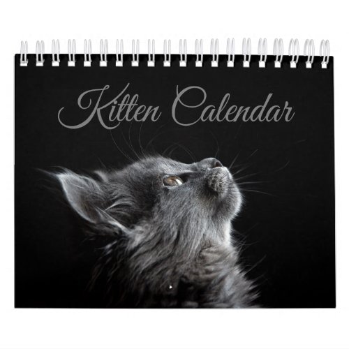 Small Kitten Calendar