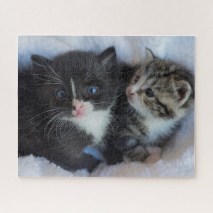 Small kittens snuggling in the blankets jigsaw puzzle