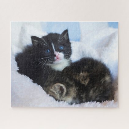 Small kittens snuggling in the blankets jigsaw puzzle