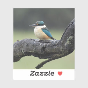 Small Kookaburra Bird  Sticker