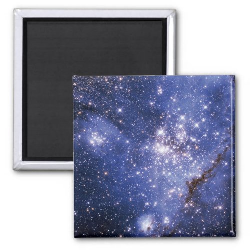 Small Magellanic Cloud Magnet