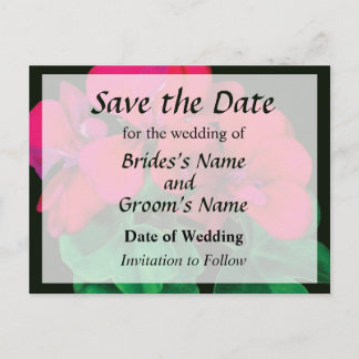 Small Magenta Geranium Announcement Postcard