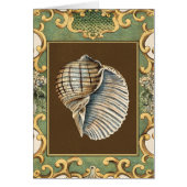 Small Mermaid's Shells (Front)