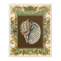 Small Mermaid's Shells