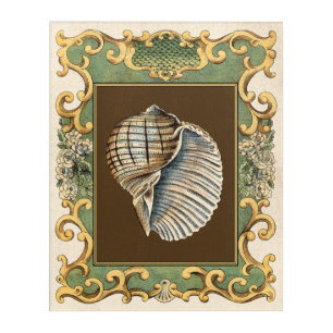 Small Mermaid's Shells Acrylic Print