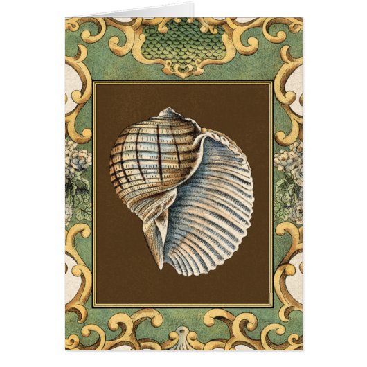 Small Mermaid's Shells Cards (Front)