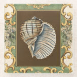 Small Mermaid's Shells Glass Coaster<br><div class="desc">Charikilia Zarris is a talented artist know for her ocean artwork. Her images are peaceful and calm relaxing you with every picture. Get this nautical piece of artwork with a Conch Shell being the center of it all,  bordered with decorative and a beautiful floral pattern.</div>