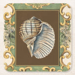 Small Mermaid's Shells Square Paper Coaster<br><div class="desc">Charikilia Zarris is a talented artist know for her ocean artwork. Her images are peaceful and calm relaxing you with every picture. Get this nautical piece of artwork with a Conch Shell being the center of it all,  bordered with decorative and a beautiful floral pattern.</div>