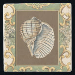 Small Mermaid's Shells Stone Coaster<br><div class="desc">Charikilia Zarris is a talented artist know for her ocean artwork. Her images are peaceful and calm relaxing you with every picture. Get this nautical piece of artwork with a Conch Shell being the center of it all,  bordered with decorative and a beautiful floral pattern.</div>