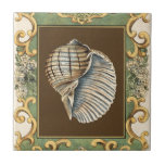 Small Mermaid's Shells Tile<br><div class="desc">Charikilia Zarris is a talented artist know for her ocean artwork. Her images are peaceful and calm relaxing you with every picture. Get this nautical piece of artwork with a Conch Shell being the center of it all, bordered with decorative and a beautiful floral pattern.</div>
