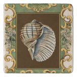 Small Mermaid&#39;s Shells Trivet