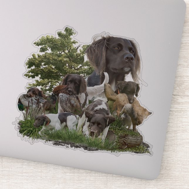 Small Munsterlander    Sticker (Detail)