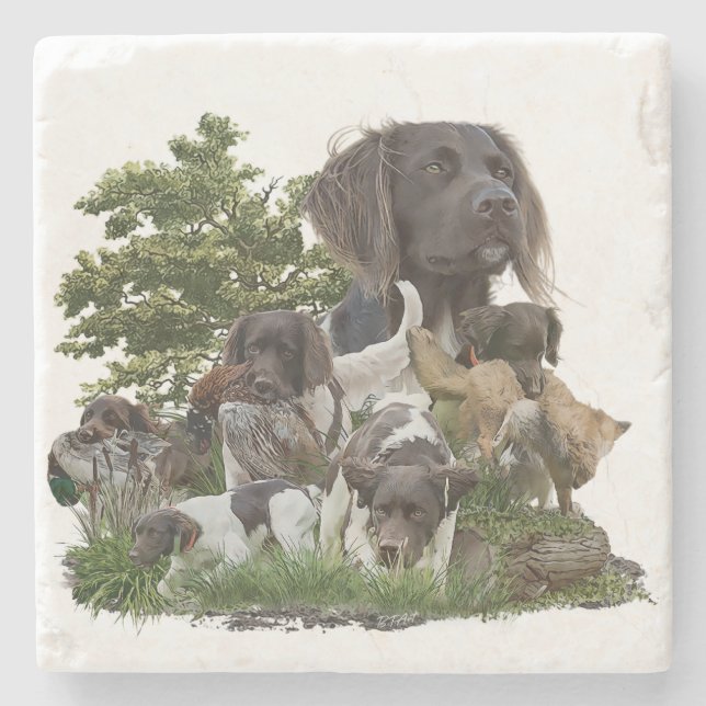 Small Munsterlander    Stone Coaster (Front)